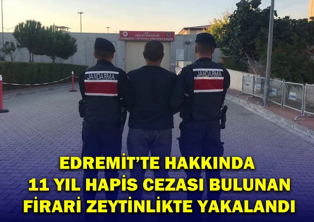 Edremit’te Hakkında 11 Yıl Hapis Cezası Bulunan Firari Zeytinlikte Yakalandı