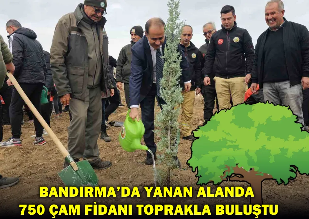 Bandırma’da Yanan Alanda 750 Çam Fidanı Toprakla Buluştu