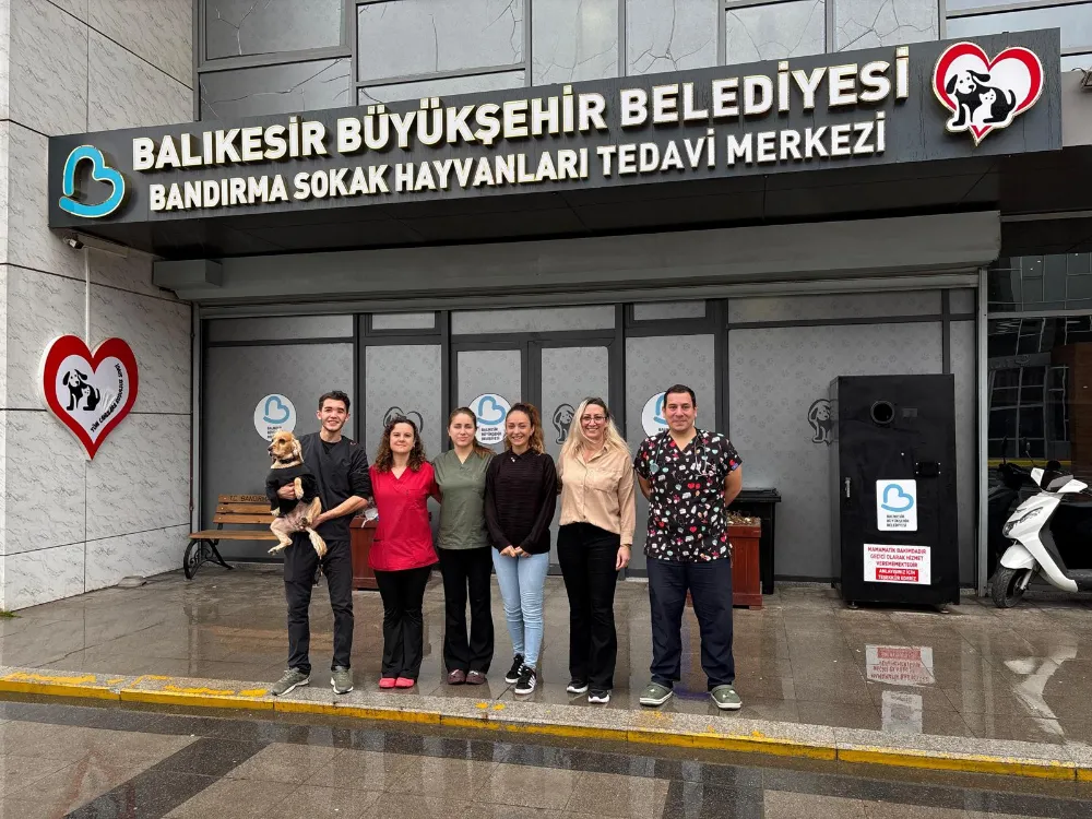 Sokak hayvanları için 35 milyon TL’lik destek