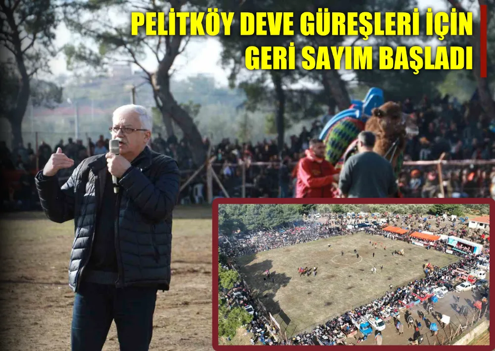 Pelitköy Deve Güreşleri İçin Geri Sayım Başladı