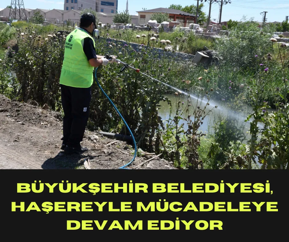 Büyükşehir Belediyesi, Haşereyle Mücadeleye Devam Ediyor