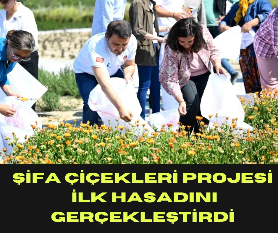 Şifa Çiçekleri Projesi İlk Hasadını Gerçekleştirdi