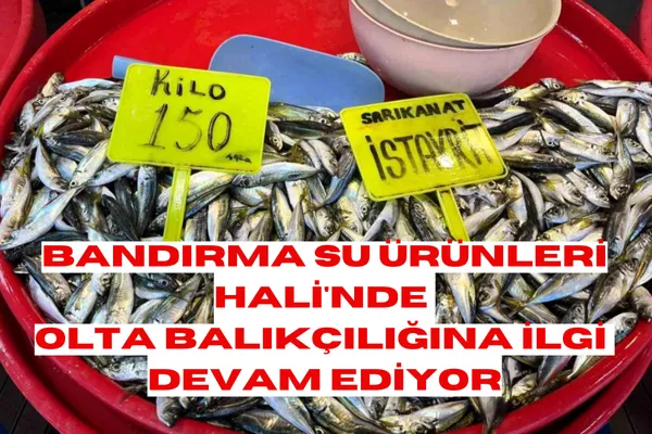 Balıkesir Büyükşehir Belediyesi Bandırma Su Ürünleri Hali