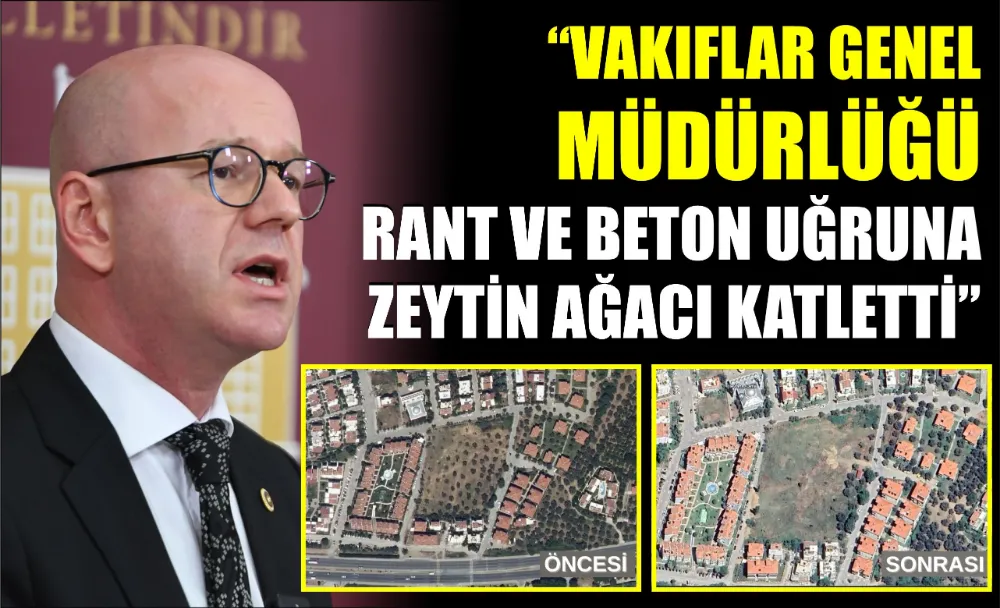 “VAKIFLAR GENEL MÜDÜRLÜĞÜ RANT VE BETON UĞRUNA ZEYTİN AĞACI KATLETTİ”