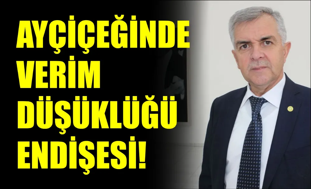 AYÇİÇEĞİNDE VERİM DÜŞÜKLÜĞÜ ENDİŞESİ!