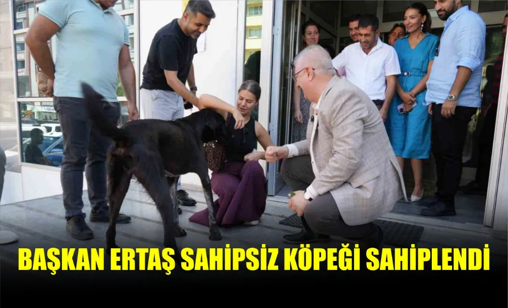 BAŞKAN ERTAŞ SAHİPSİZ KÖPEĞİ SAHİPLENDİ