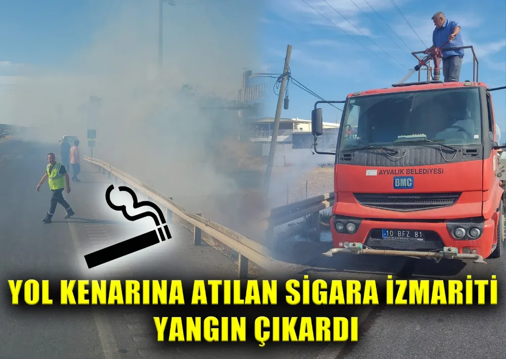 YOL KENARINA ATILAN SİGARA İZMARİTİ YANGIN ÇIKARDI