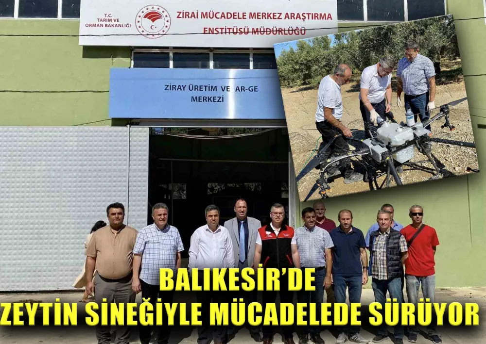 BALIKESİR’DE ZEYTİN SİNEĞİYLE MÜCADELEDE SÜRÜYOR