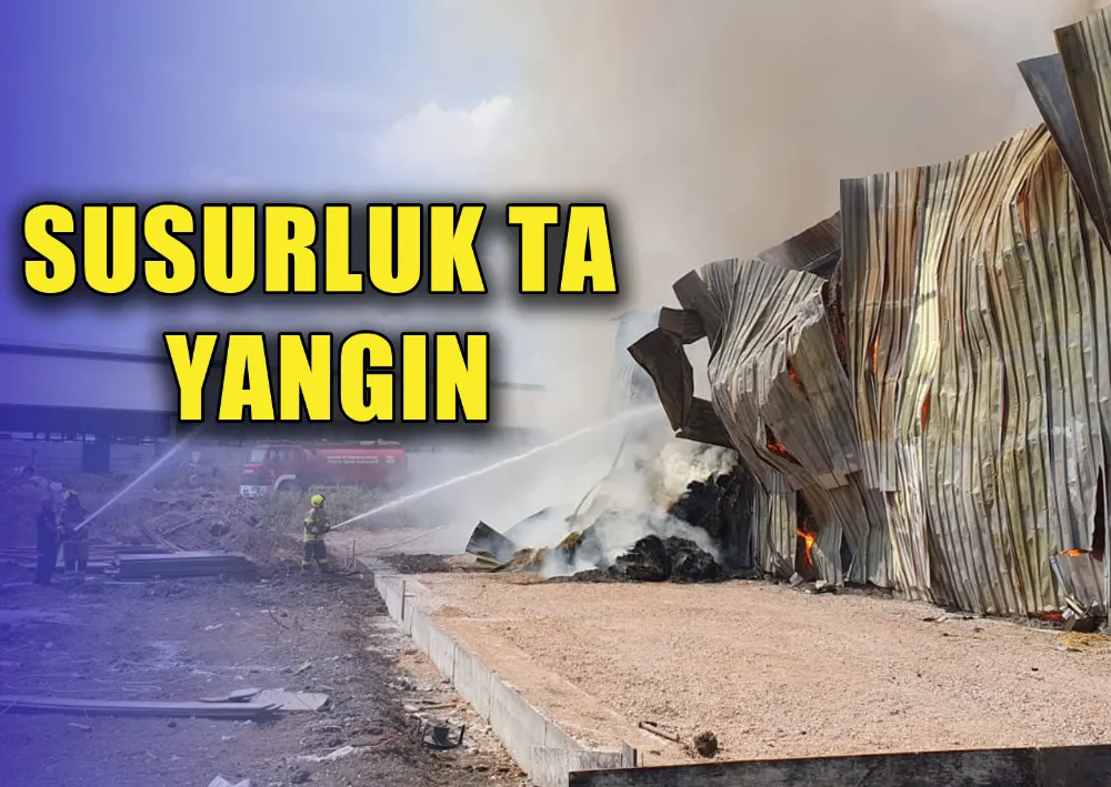 SUSURLUK TA YANGIN