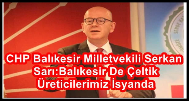 CHP Balıkesir Milletvekili Serkan Sarı:Balıkesir De Çeltik Üreticilerimiz İsyanda